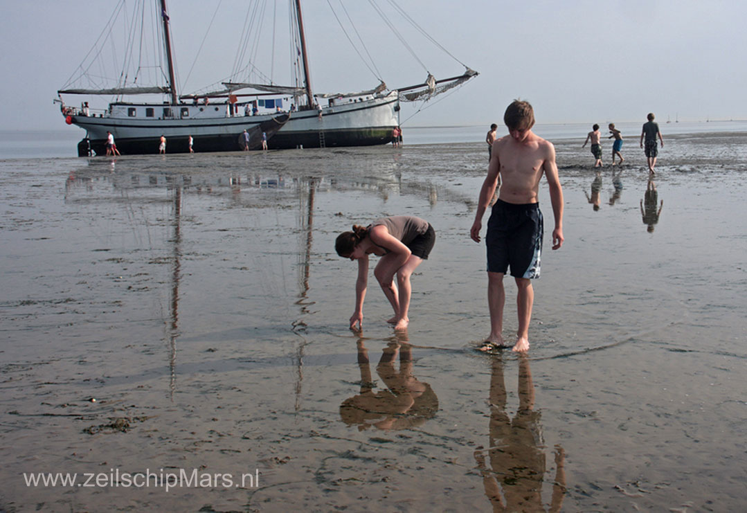 Zeilvakantie in Friesland, IJsselmeer of Waddenzee