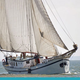 Zeilschip Mars op open water met de zeilen gehesen.